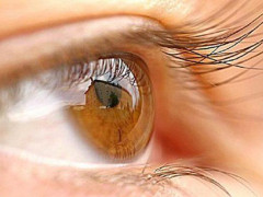 Dünyada İLK: İnsan gözü transplantasiya edildi